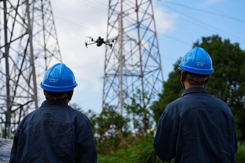 Power Line Inspection