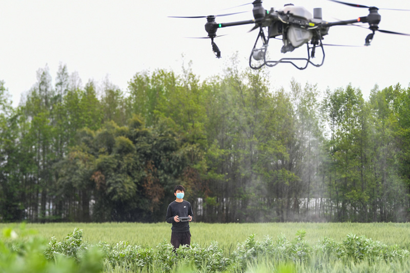 Agricultural Field Surveillance